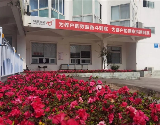 特驅(qū)農(nóng)牧“雙美評選”揭榜，現(xiàn)代化飼料工廠原來長這樣！